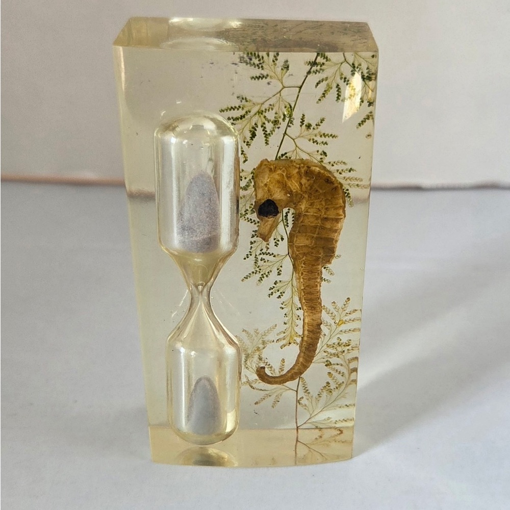 Vintage Acrylic Encased  Sand Timer Seahorse Souvenir Paperweight 3.5”